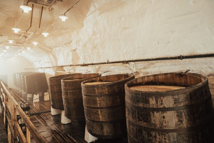 Pilsen: Pilsner Urquell Brewery Tour with Beer Tasting - Price and timing: what $21 gets you, and how long to plan