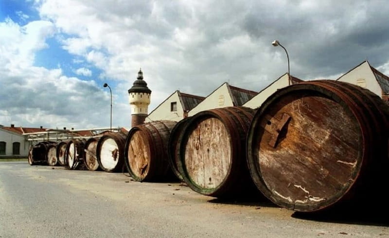 Pilsner Brewery & Nizbor Glass Factory Combination Tour - Lunch in Pilsen at U Salzmannů, and the one-drink reality check