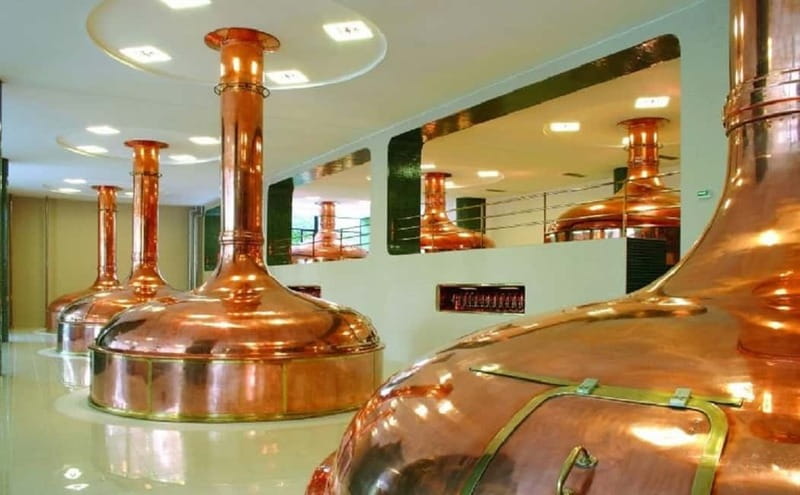 Pilsner Brewery & Nizbor Glass Factory Combination Tour - The guide, the small group, and why the day can swing