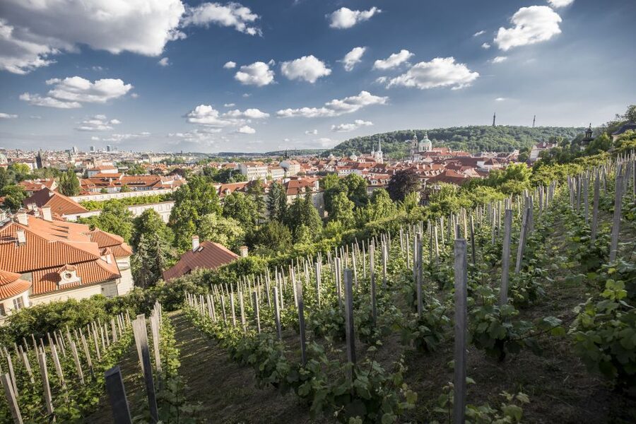 Prague: 3-Hour Castle Grounds Walking Tour and River Cruise - Key points to know before you lace up