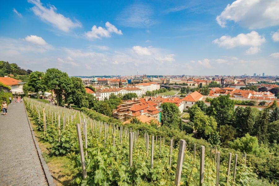 Prague Castle 2.5-Hour Tour Including Admission Ticket - St. Vitus Cathedral: Ceremonial Power Under One Roof