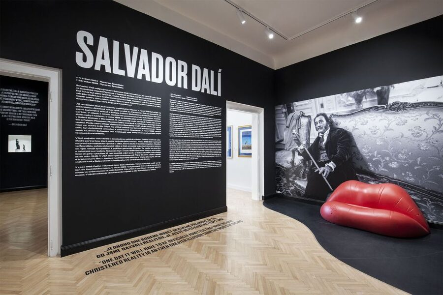 Prague: Central Gallery Ticket with Two Exhibitions - Choosing Dalí, Warhol, or both in one day