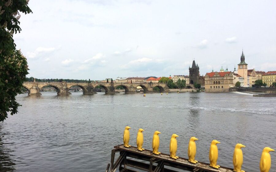 Prague: Classic City Bike Tour - Municipal House and New Town: start with architecture you can understand