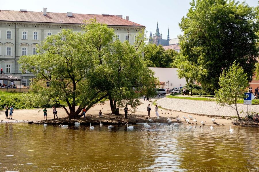 Prague Cruise: 1-Hour on the River Vltava - Timing, Comfort, and What to Bring for a One-Hour Cruise