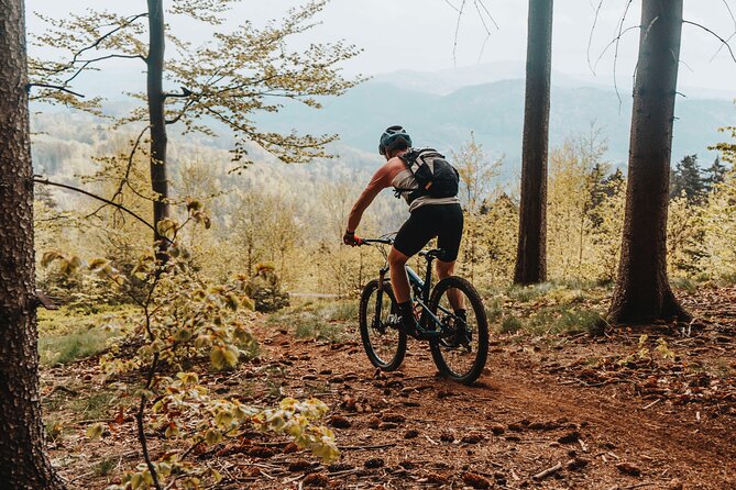 Prague E-Mountain Biking Adventure In The Bohemian Paradise - Stops through Vysker and Turnov: countryside breathing room between the big sights