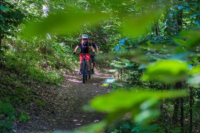 Prague E-Mountain Biking Adventure In The Bohemian Paradise - Hrad Valdštejn: castle views on an active day