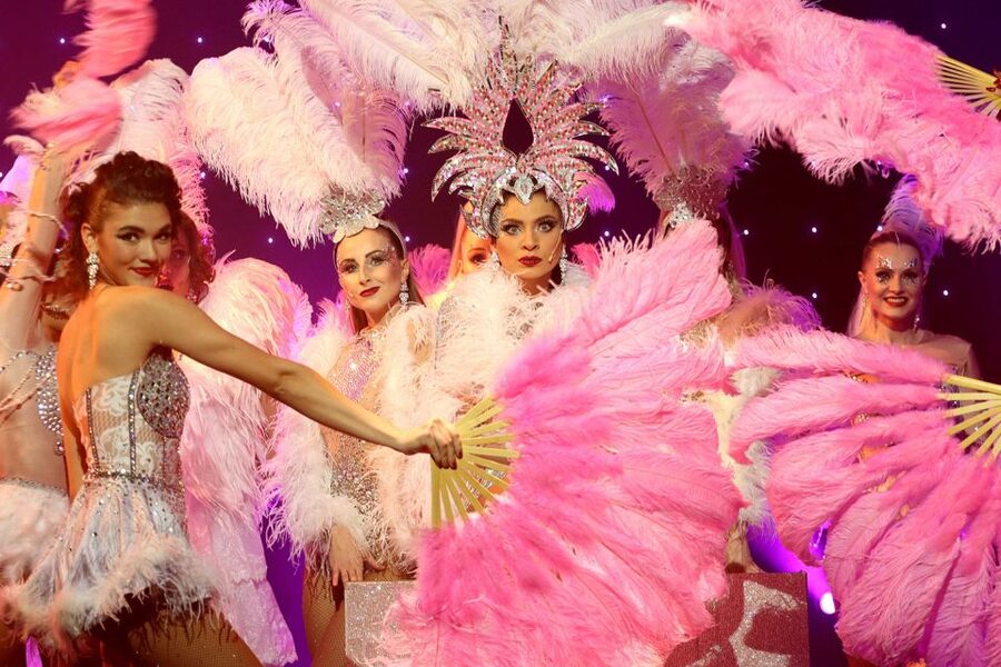 Prague: Evening Czech Cabaret Show at the Hybernia Theater - Who this show fits best in your Prague trip