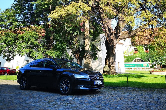 Prague Half Day Private Guided Tour by Car or Foot with Transfers - Frank Gehry Modern Architecture Meets the Old Streets
