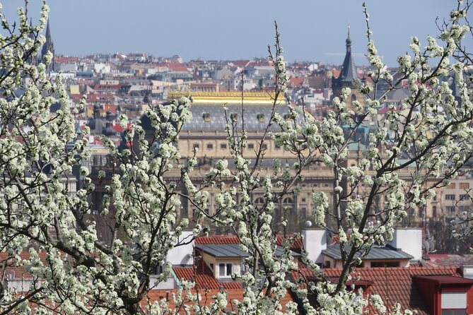Prague Literary & Historical Tours - Literature Route - Where this Prague Literature Route really shines in 2 hours