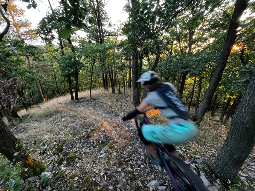 Prague Mountain Biking: Blast Through The Best Singletracks - Weather matters, and so does the skill baseline