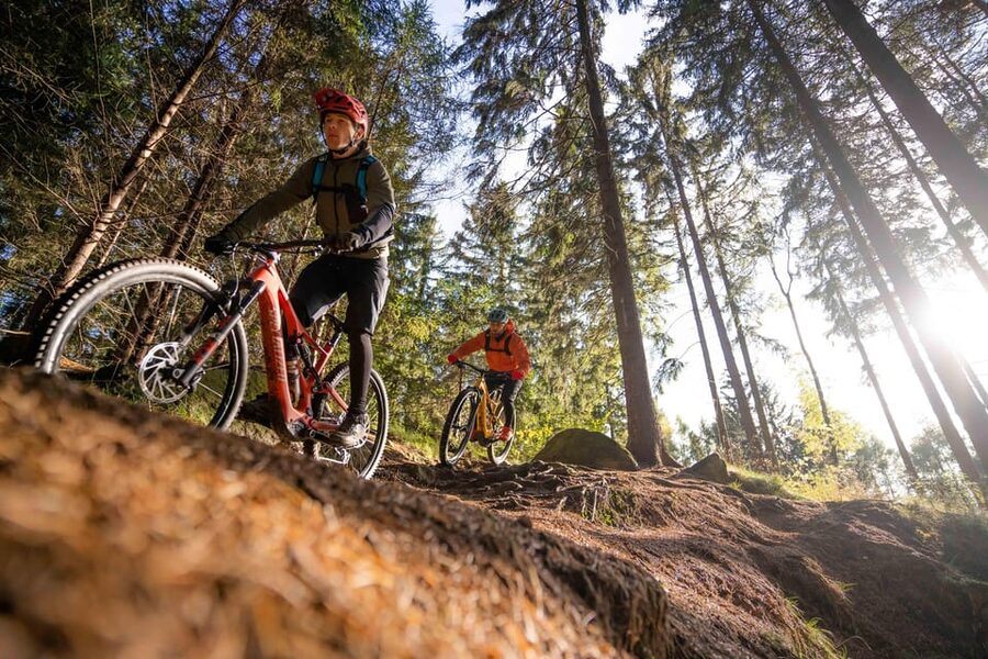 Prague Mountain Biking: Blast Through The Best Singletracks - Price and what you get for $128 per person
