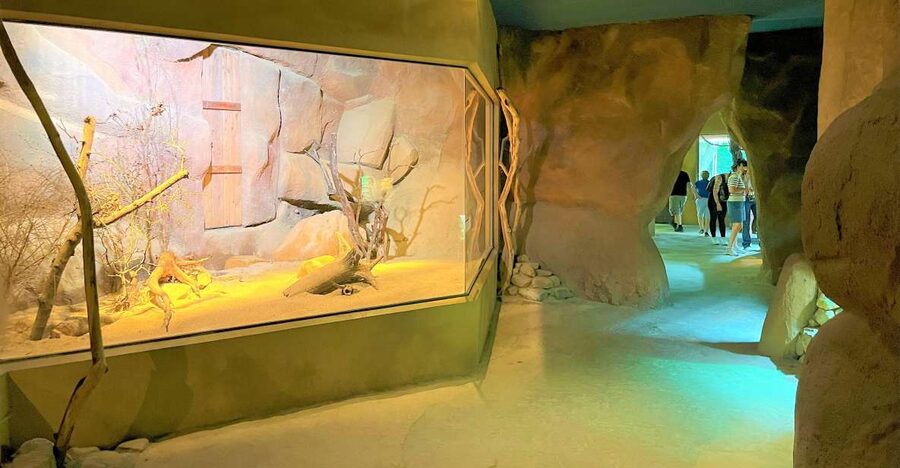 Prague: Prague Zoo Audio Guide with E-Ticket - Key things to know before you go
