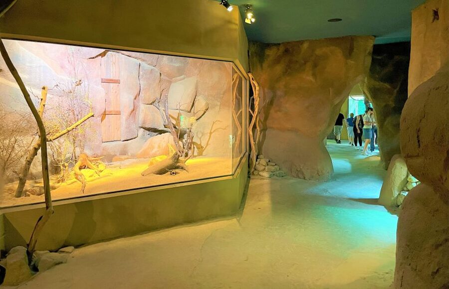 Prague: Prague Zoo Audio Guide with E-Ticket - Prague Zoo in Troja: why this audio-led visit makes sense