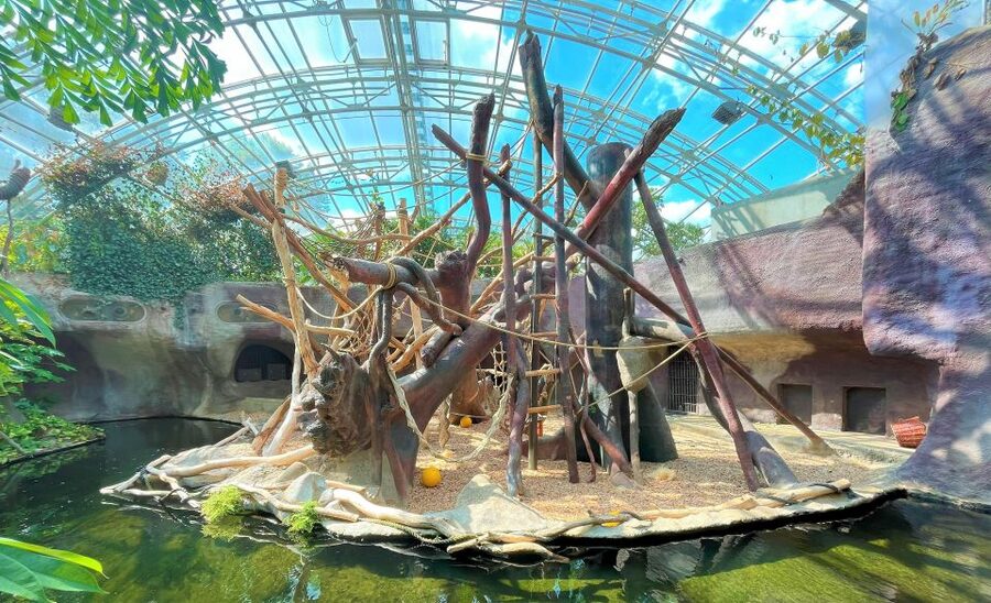 Prague: Prague Zoo Audio Guide with E-Ticket - Navigation power: using both maps without getting lost
