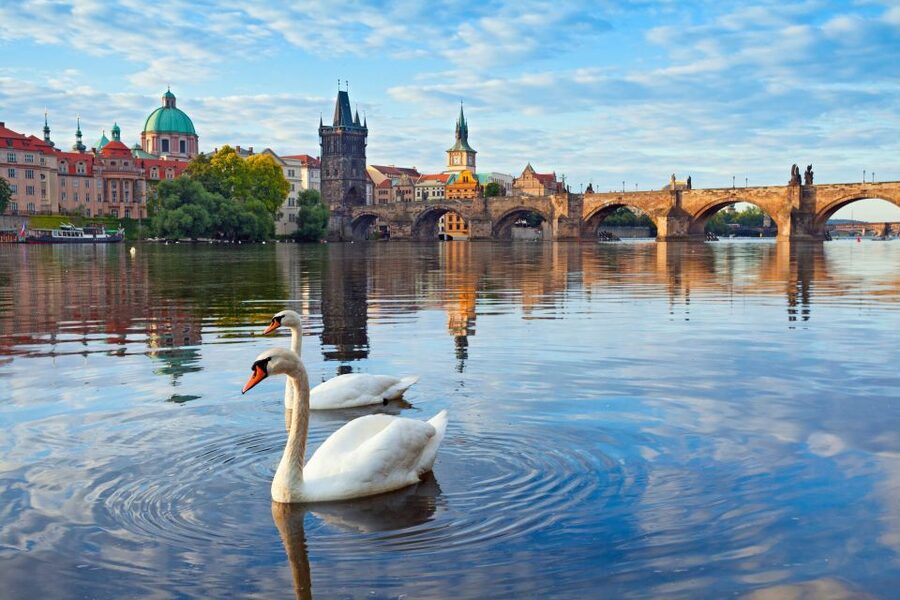 Prague : Private Walking Tour with A Guide (Private Tour) - Price and what you are really paying for ($55 per person)