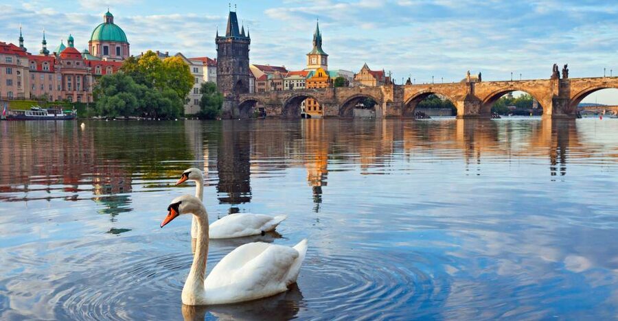 Prague : Private Walking Tour with A Guide (Private Tour) - Picking the right duration: 2 hours vs 8 hours