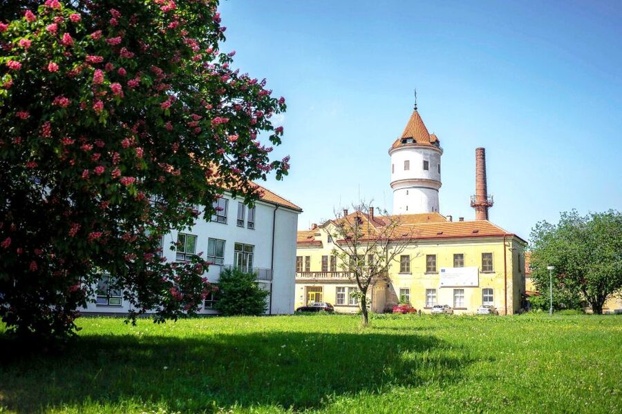Prague: Psychiatric Hospital and Abandoned Cemetery Tour - Key highlights you will actually remember