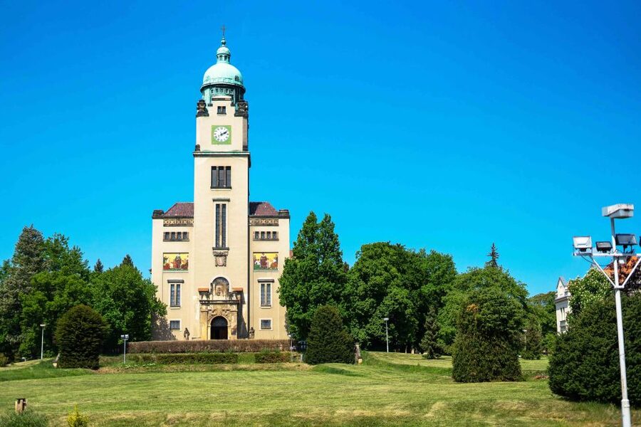 Prague: Psychiatric Hospital and Abandoned Cemetery Tour - Rosenham and the power of labels inside the wards