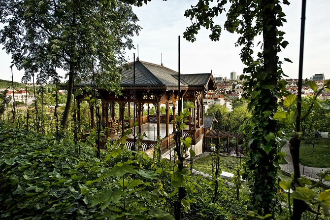Prague´s Hidden Vineyards Private Tour - Troja vineyards and the view toward Troja Chateau