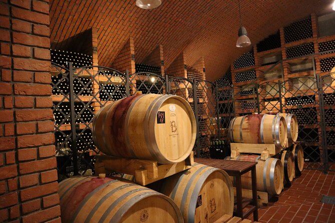 Prague´s Hidden Vineyards Private Tour - The terrace wine house tasting: Czech wines with cheese pairing