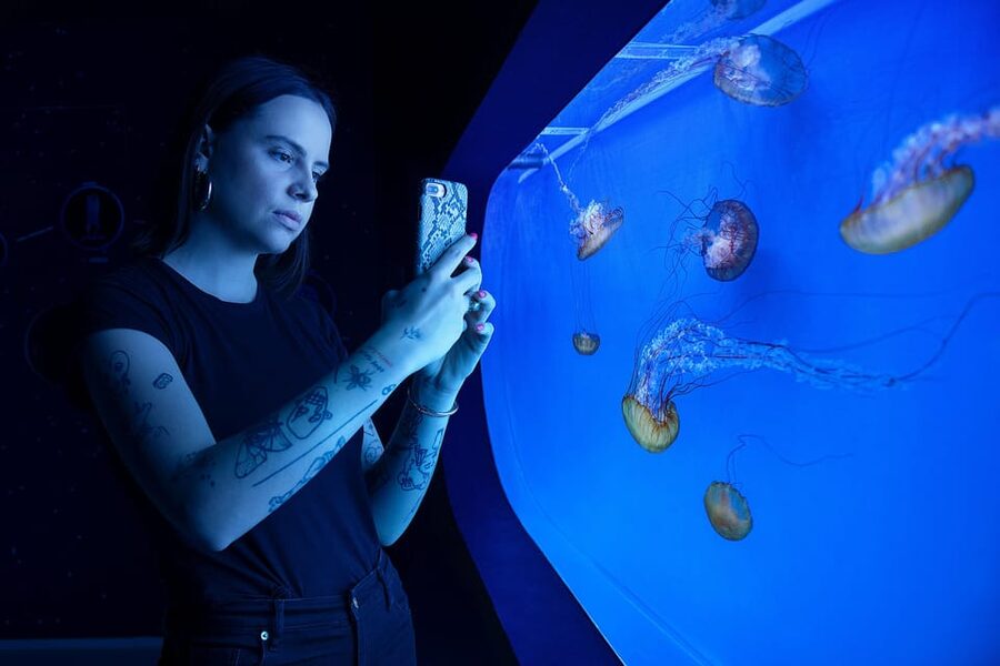 Prague: The World Of Jellyfish Entry Ticket w/ Drink - FAQ