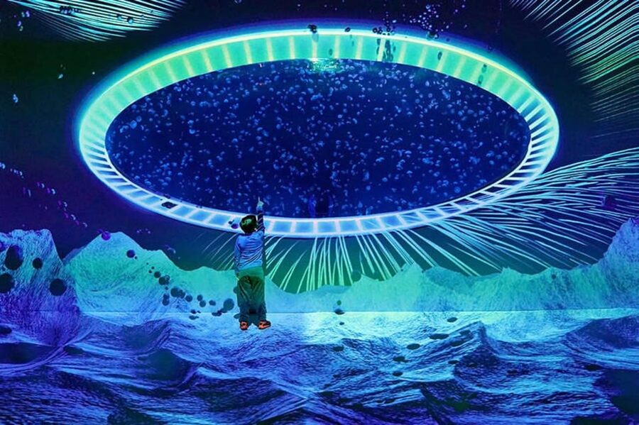 Prague: The World Of Jellyfish Entry Ticket w/ Drink - 38 aquariums and 30 plus jellyfish species, how to see more
