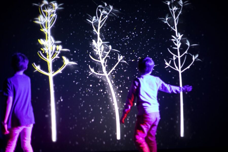 Prague: Ticket to Audiovisual Light Art at Lumia Gallery - Price and value check: is $17 worth your time?