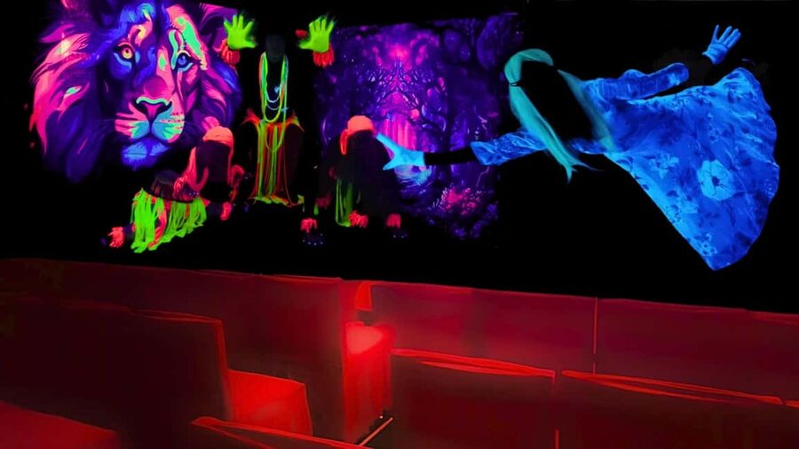 Prague: Underground Black Light Theatre Interactive Show - Price and Value: Is $18 Worth 70 Minutes Underground?