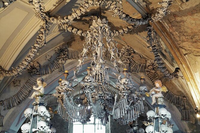 Prague-Vienna One-Way Sightseeing Day Tour - Key highlights to look for