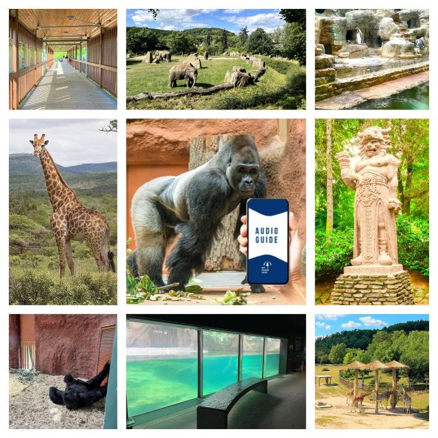 Prague Zoo Online Audio Guide (No ticket) - Internet is the deal breaker, so plan for a stable connection