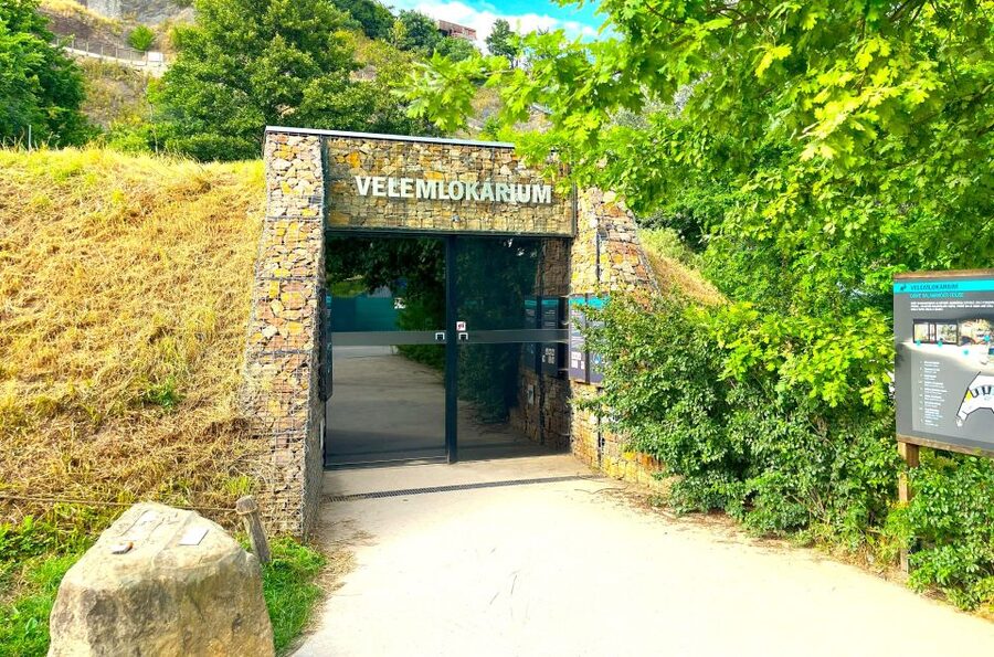 Prague Zoo Online Audio Guide (No ticket) - What the audio guide actually covers: Zoo history and pavilion stops