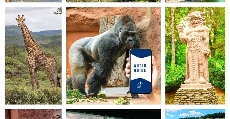 Prague Zoo Online Audio Guide (No ticket) - What kind of visitor should choose this?