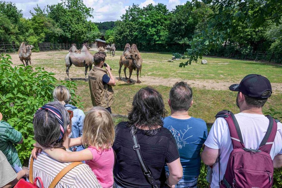 Prague Zoo: Skip-the-Line Entry Ticket - Rules That Affect Your Day: What You Must Not Do