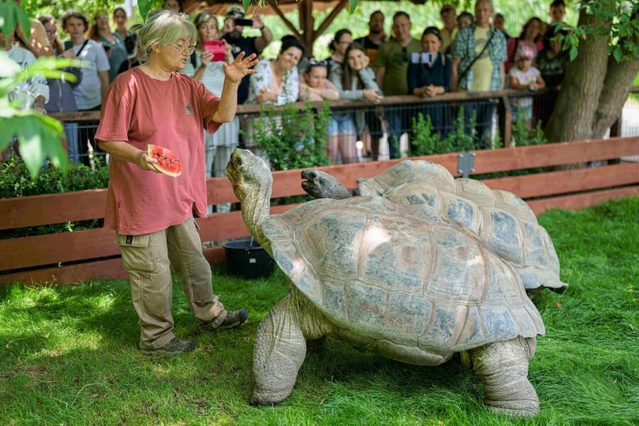 Prague Zoo: Skip-the-Line Entry Ticket - Prague Zoo in Troja: One Ticket, Thousands of Animals