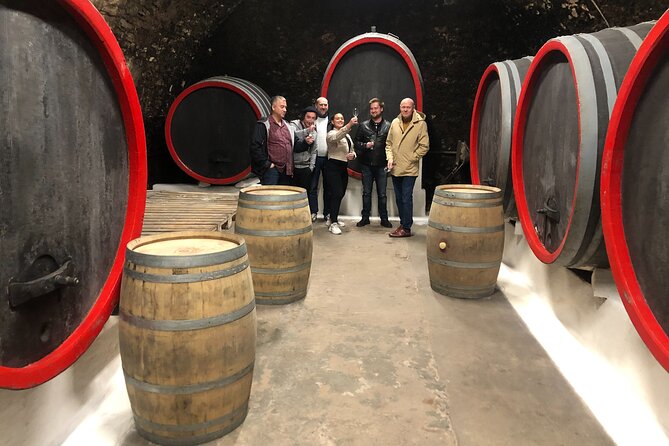 Private Bohemia Wine Tour from Prague with Gourmet Tastings - Velké Žernoseky’s medieval cellars and the 2-course lunch you will remember