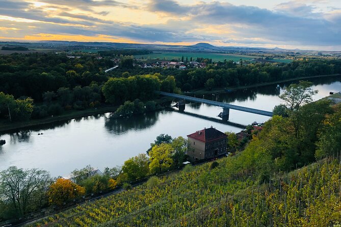 Private Bohemia Wine Tour from Prague with Gourmet Tastings - Třebívlice with Johann W and Zámecké vinařství: production tour and the final tastings