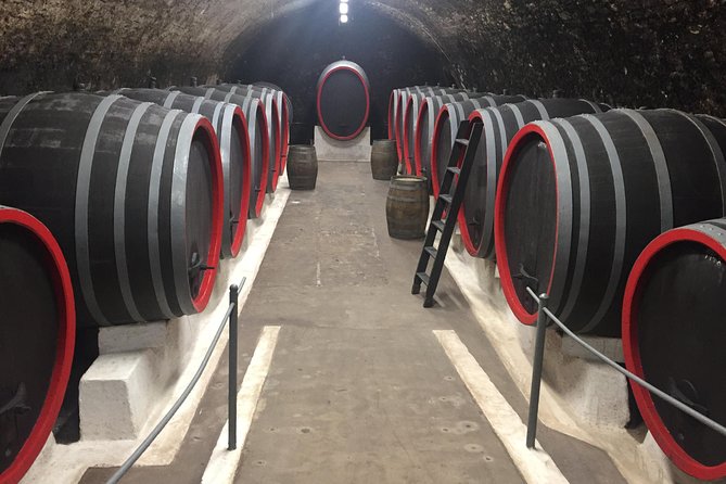 Private Bohemia Wine Tour from Prague with Gourmet Tastings - What to expect from the schedule and how to plan your day in Prague