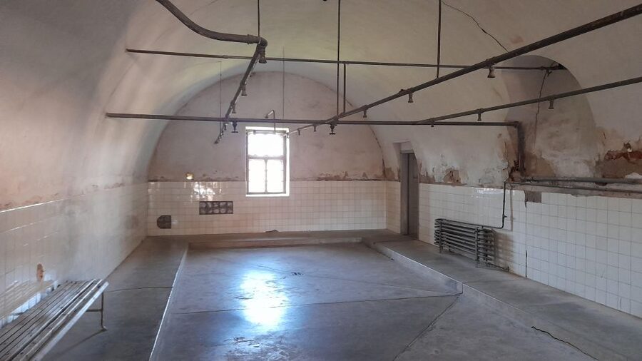 Private Half-Day Tour To Terezin Concentration Camp - Small Fortress: Gestapo Prison Courtyards, Cells, and the 10-Minute Red Cross Propaganda Film