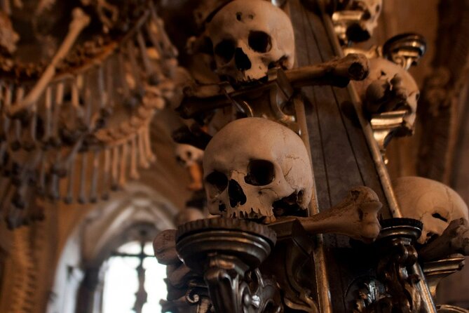 Private Half Day Trip from Prague to Bone Church - The ride experience: snacks, WiFi, and a guide who makes time count