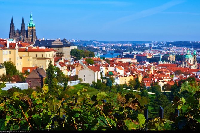 Private Half-Day Walking Tour of Prague's Highlights - Pickup and a flexible start time, so you can plan your day