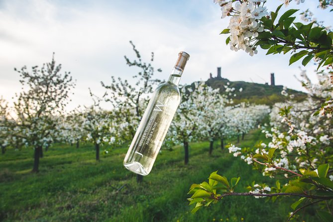 Private PICNIC in Bohemian Vineyards and Wine Tasting 4WD Tour - Key things I think you will enjoy