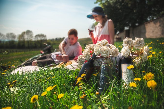 Private PICNIC in Bohemian Vineyards and Wine Tasting 4WD Tour - Johann W in Třebívlice: cellar walk and a tasting that is structured
