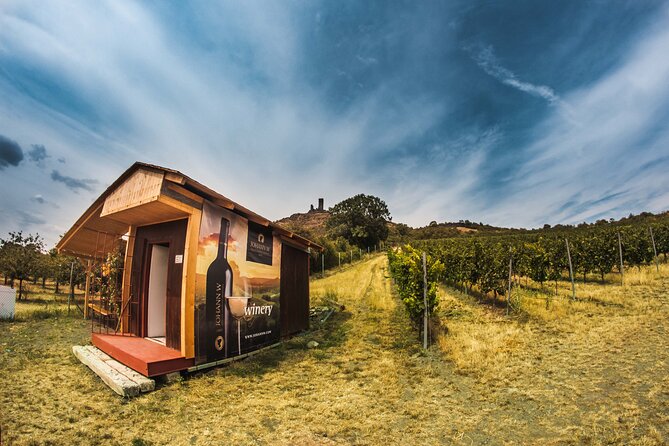 Private PICNIC in Bohemian Vineyards and Wine Tasting 4WD Tour - 4x4 vehicle time: what to expect and how to enjoy it