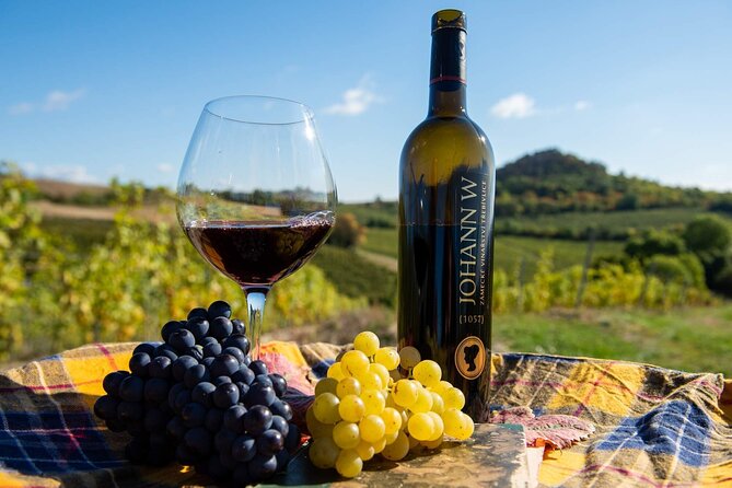 Private PICNIC in Bohemian Vineyards and Wine Tasting 4WD Tour - Prague pickup, the off-road drive, and why timing matters