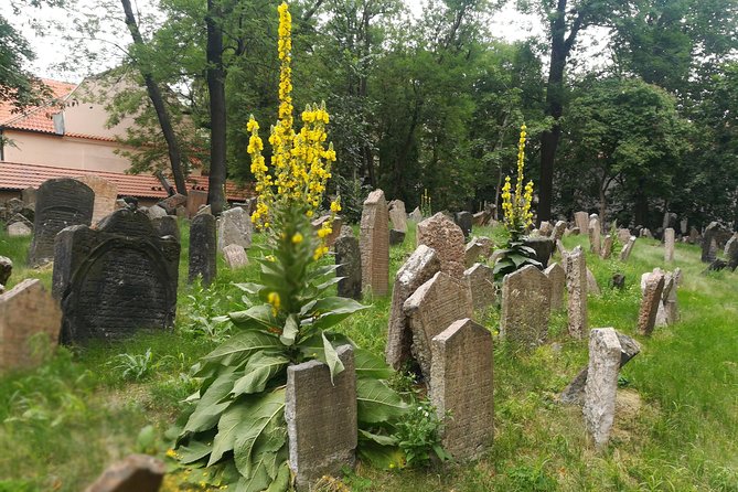 Private Stories of Jewish Prague Walking Tour - Spanish Synagogue and Klausen Synagogue, Reform-Era Design to Baroque Devotion