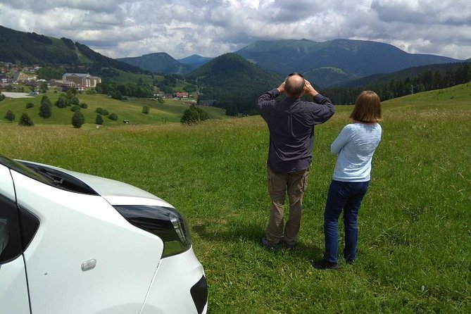 Private transfer in a Sanitized Car Prague to Vienna with 2h stop Cesky Krumlov - Driver service details that make the difference in real life