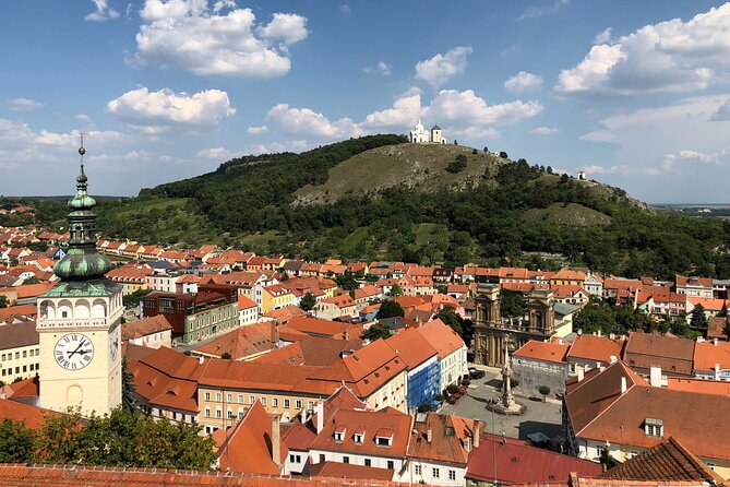 Ultimate private wine tasting experience from Prague to Moravia (3 days) - Day 2 in Mikulov: Cellar Culture, a Big Barrel, and More Time to Taste
