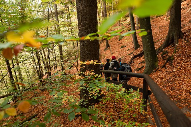 VIP Best Reviews: Bohemian & Saxon Switzerland from Prague - Lunch in Mezní Louka: A Real Czech Break With a Drink