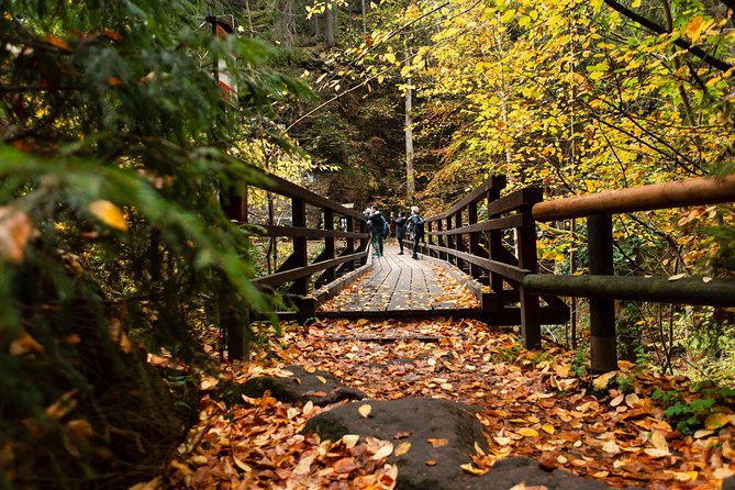 VIP Best Reviews: Bohemian & Saxon Switzerland from Prague - Bohemian Switzerland Options: Pravčická Gate and the Moderate Hike