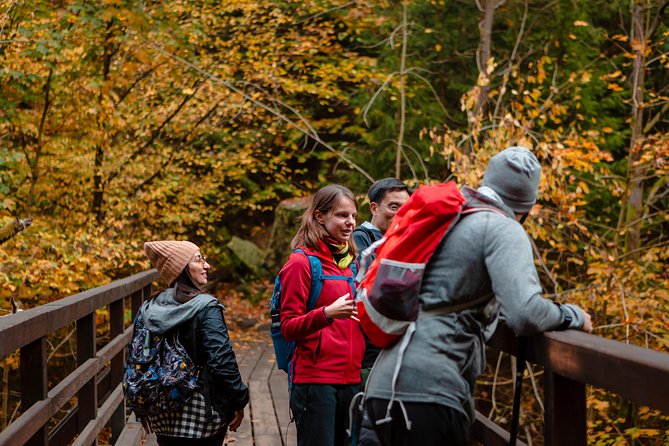 VIP Best Reviews: Bohemian & Saxon Switzerland from Prague - Getting the Pace Right: What “Easy” and “Moderate” Means Day to Day